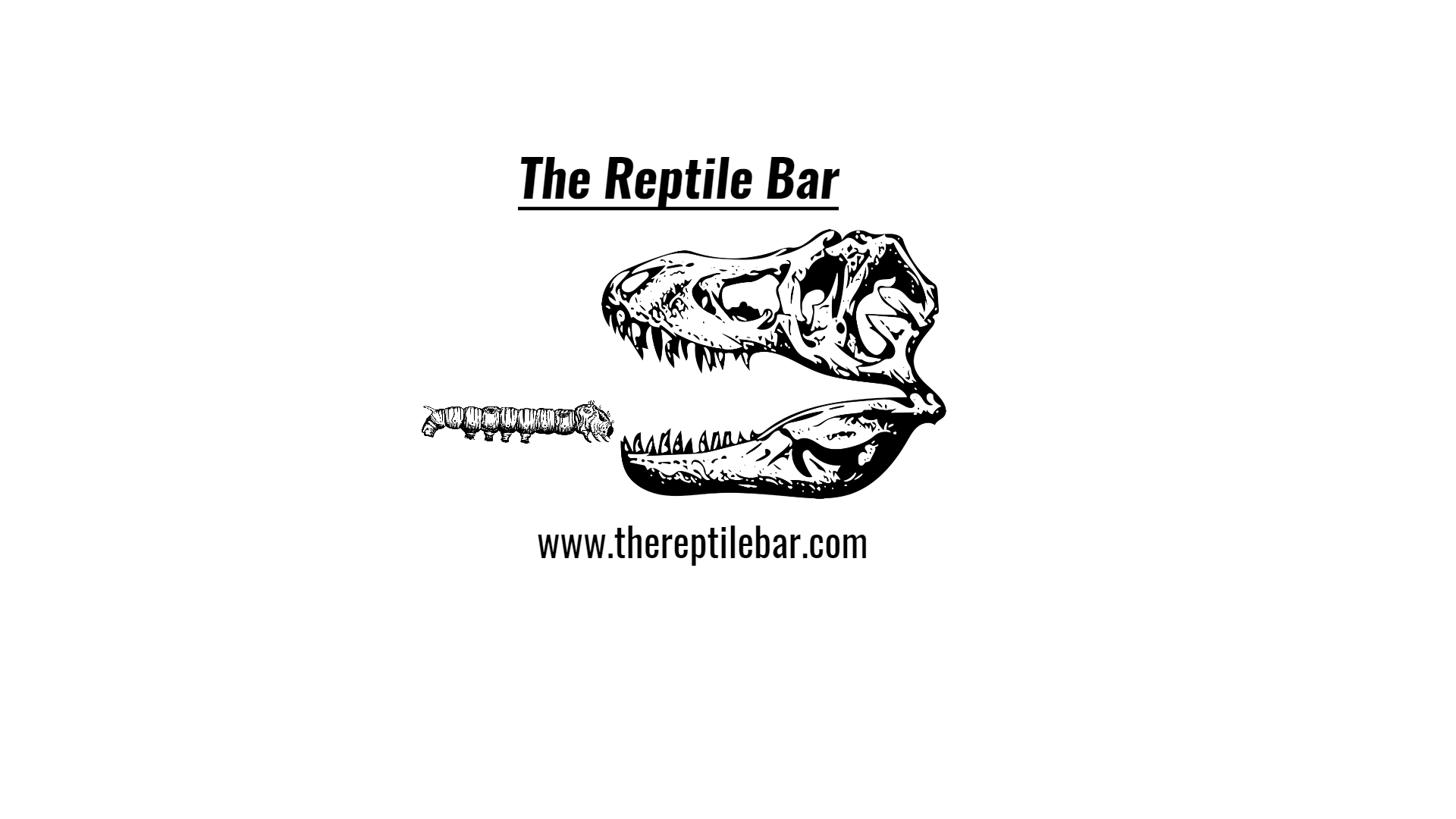 Hornworm care sheet – The Reptile Bar